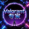 电竞社区用户 'Valorant专家' 的头像