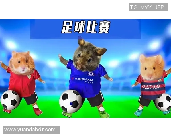 带你挑战足球球星猜谜大闯关感受不同层次的趣味与难度